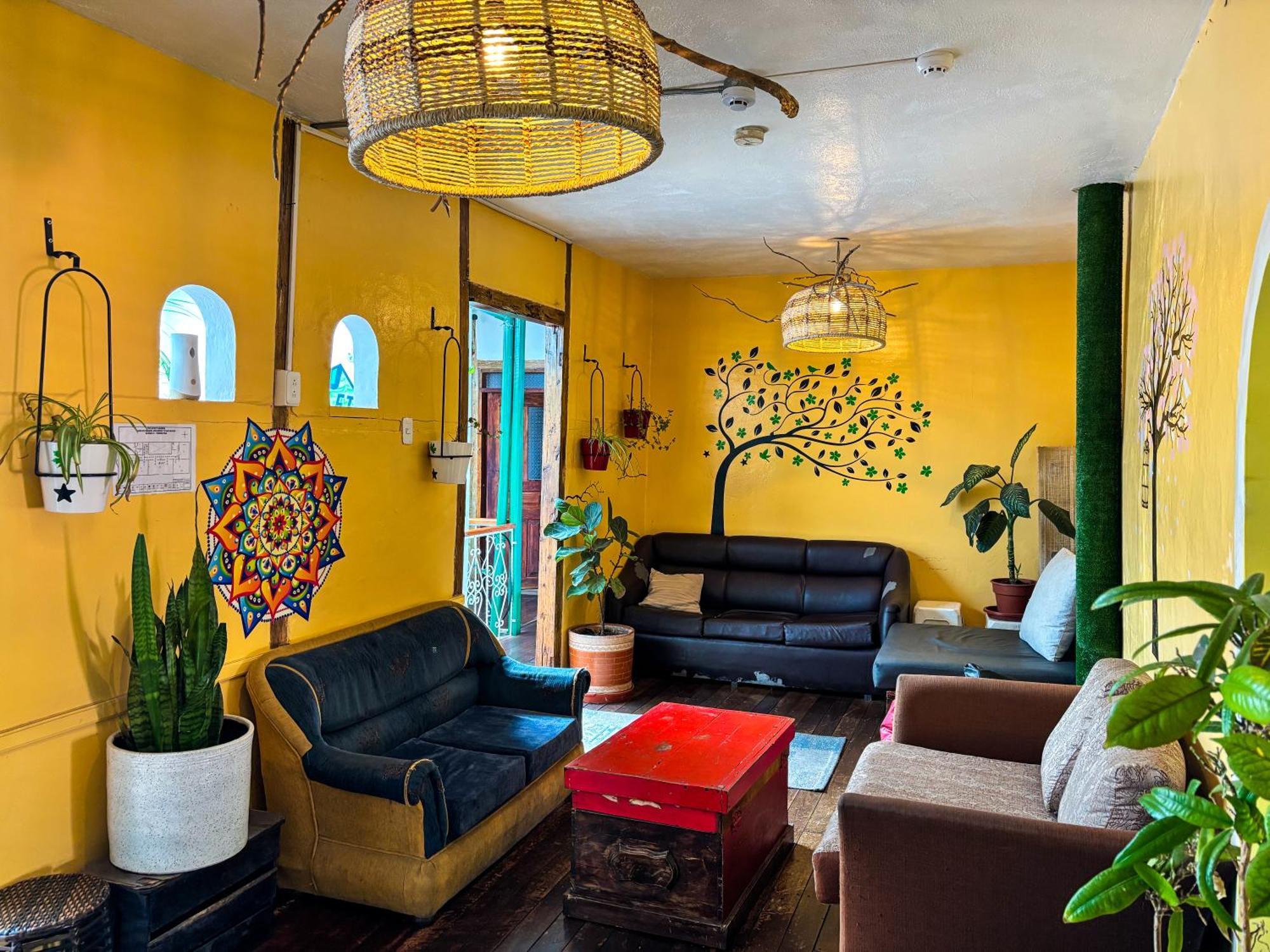 The Secret Garden Hostel กีโต ภายนอก รูปภาพ