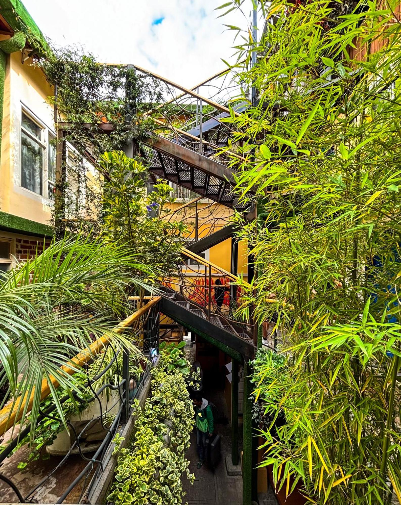 The Secret Garden Hostel กีโต ภายนอก รูปภาพ